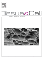 Impact of inflammatory skin conditions on the biological profile of plasma rich in growth factor