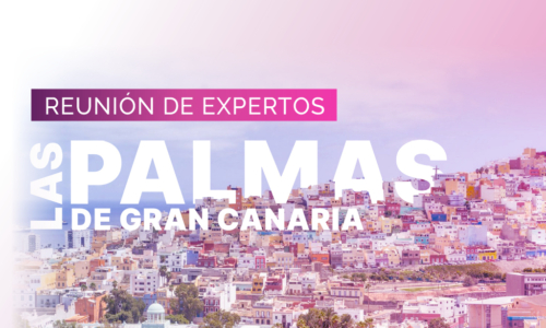Reunión de expertos | Las Palmas