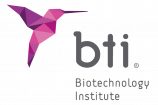 Logo BTI