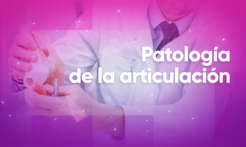 Patología de la articulación