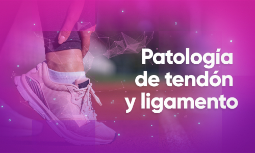 Patología de tendón y ligamento