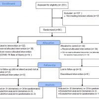 Figure 1 Selection flow diagram. PRISMA flow diagram of the screening and selection process.