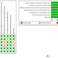 Figure 2 Study selection flow diagram. PRISMA flow diagram of the screening and selection process. Quality assessment of the included RCTs. (a) Risk of bias summary: review authors’ judgments about each risk of bias item for each included study: (+), low risk of bias; (?): unclear risk of bias. (b) Risk of bias graph: review authors’ judgments about each risk of bias item presented as percentages across all included studies.