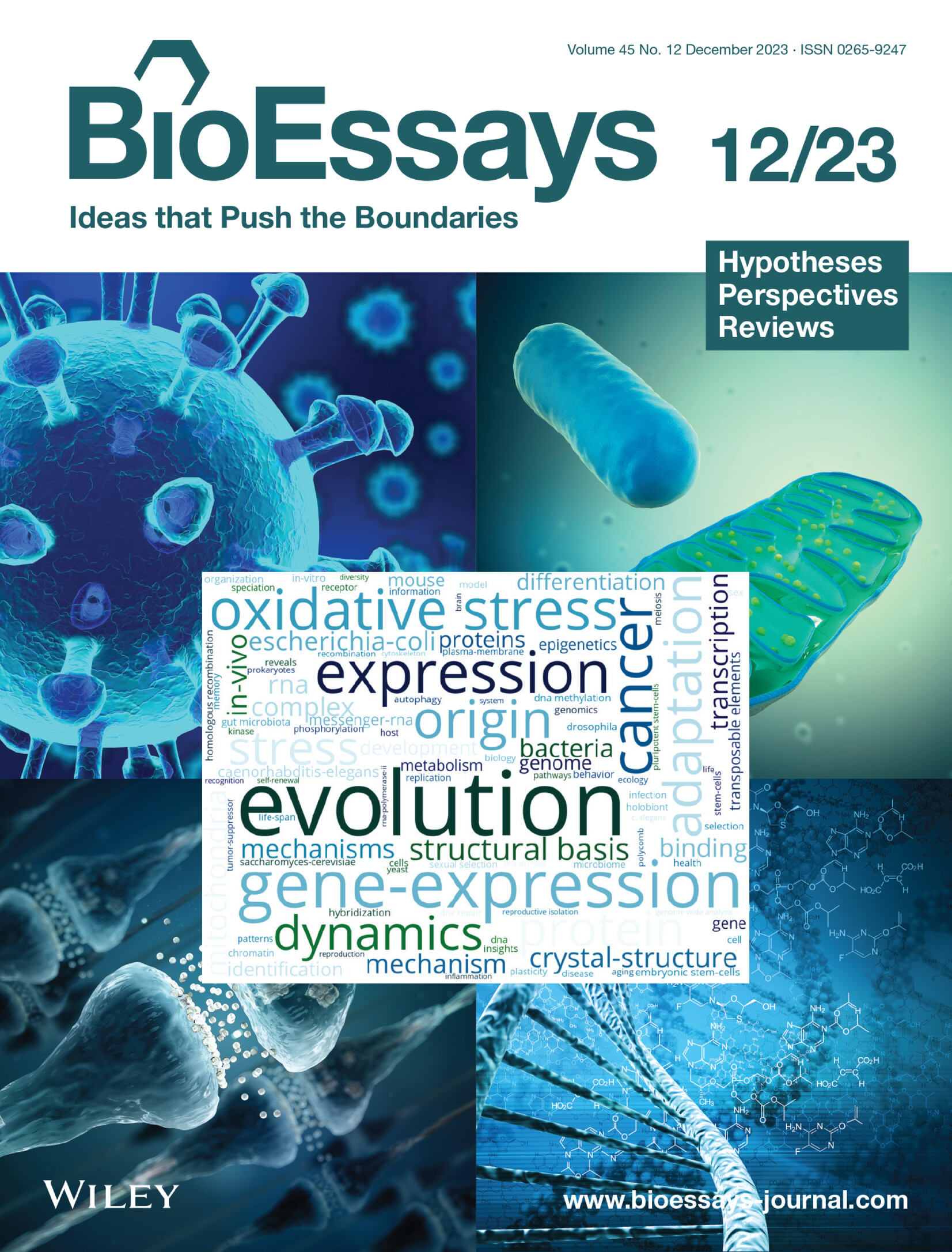 An evolutionary history of F12 gene: Emergence, loss, and vulnerability with the environment as a driver