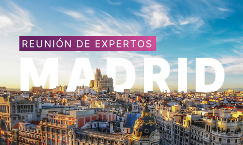 Reunión expertos | Madrid