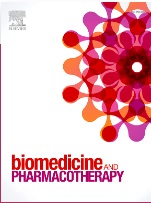 Improving the mechanical and biological functions of cell sheet constructs: The interplay of human-derived periodontal ligament stem cells, endothelial cells and plasma rich in growth factors